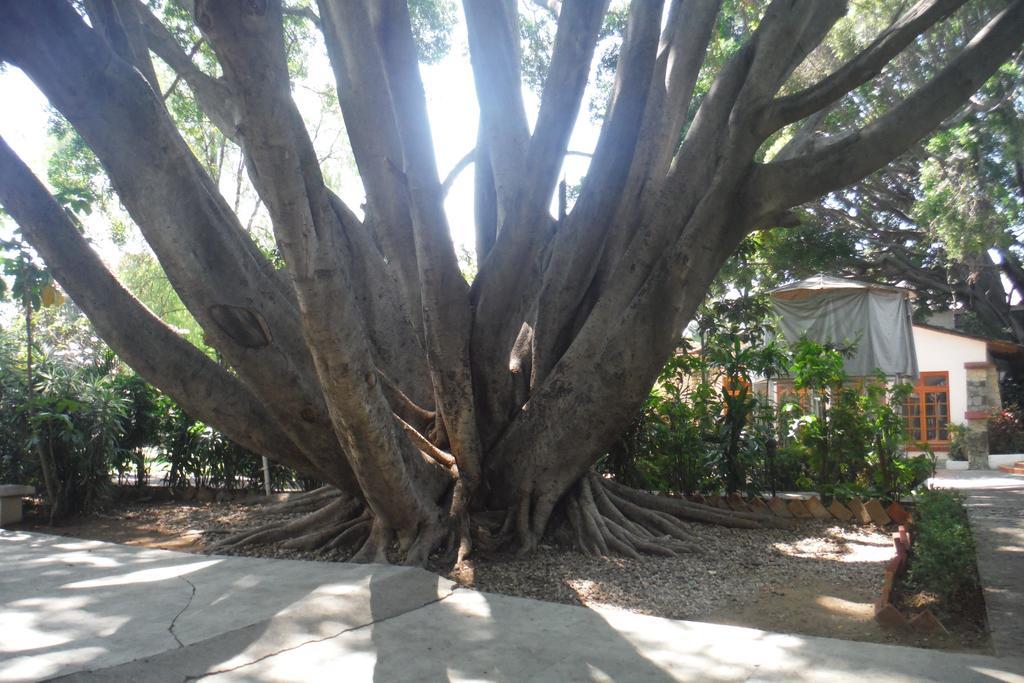 Mision De Los Angeles Oaxaca Dış mekan fotoğraf