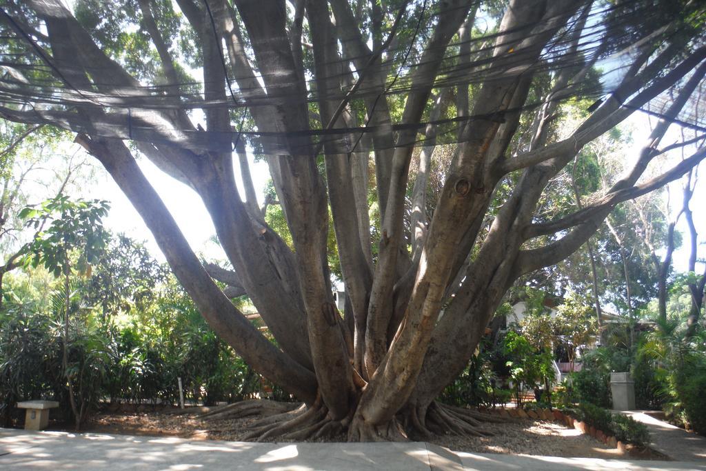 Mision De Los Angeles Oaxaca Dış mekan fotoğraf